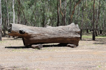 log-on-rollers-barmah-np