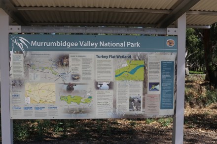 murrumbidgee-national-park