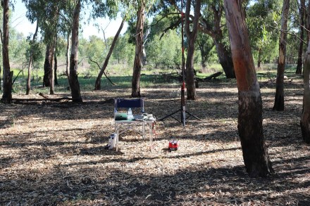 murrumbidgee-np-my-operating-spot-new-growth
