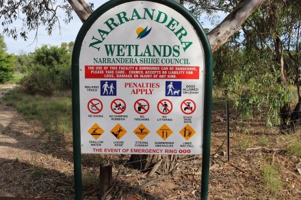 narrandera-wet-lands