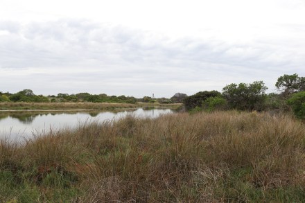 salt-creek-and-replica-oil-well