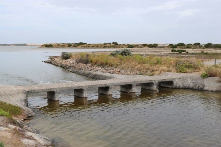 salt-creek-coorong