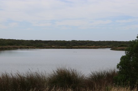 the-coorong-1