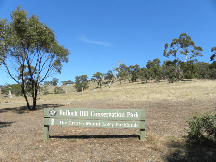 Bullock Hill showing how dry it is