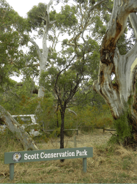 Scott CP Sunday afternoon