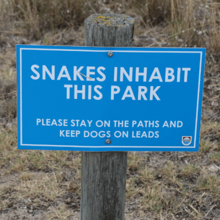 Warning about snakes