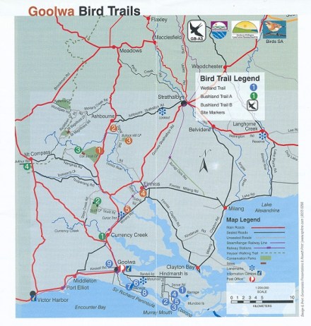 Goolwa Bird Trails