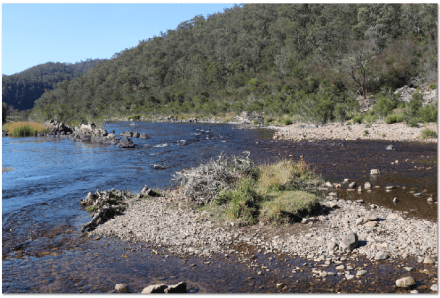 junction of Snowy and Buchan Rivers