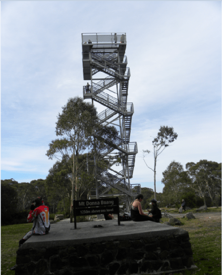 Mount Donna Buang Lookout