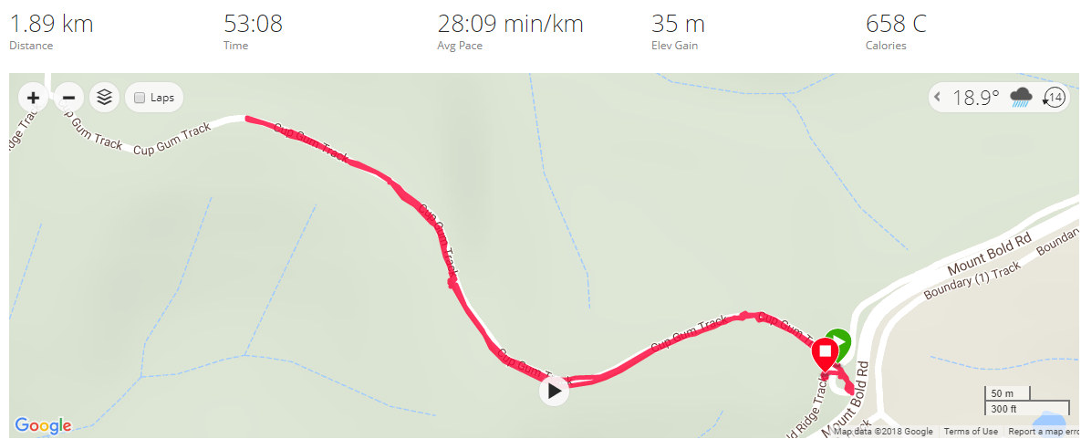 Scott Creek walk 30th March