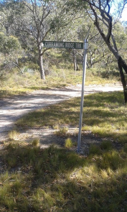 Currowang ridge traCK