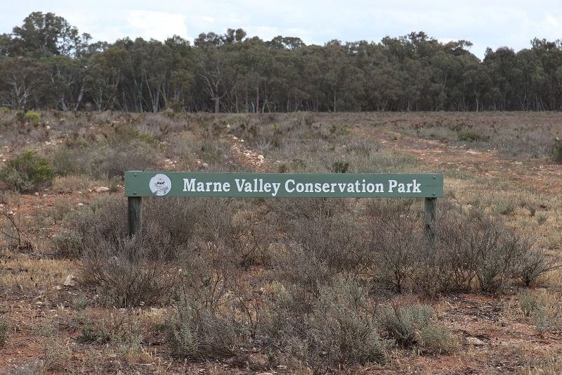Marne Valley CP