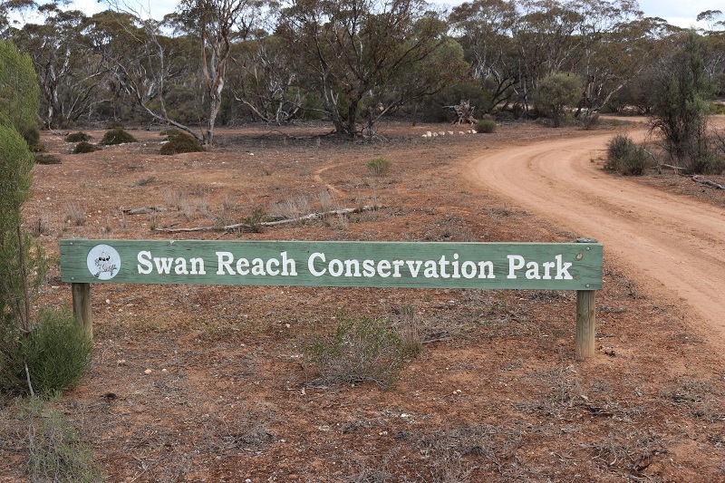 Swan Reach CP