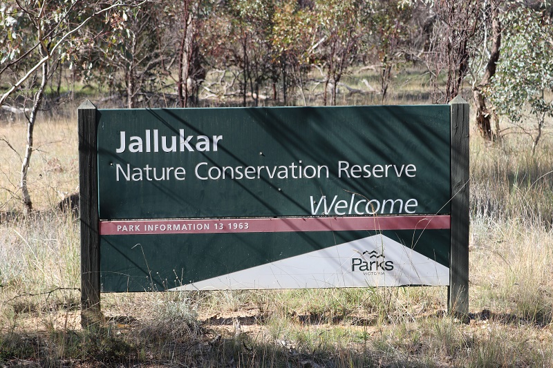 Jallikar NCR blog