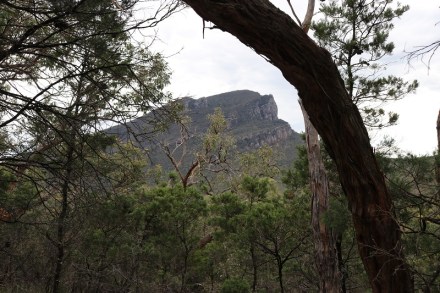 Mount Abrupt for blog